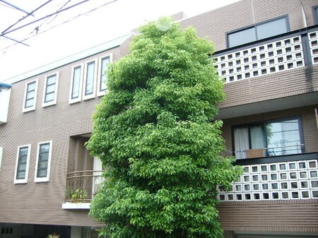 ド－マ小日向外観写真