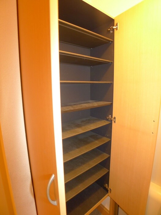 物件内観写真19　(靴箱)