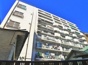 ライネスハイム市川(606)外観写真