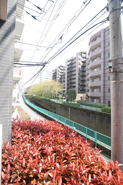 物件内観写真22　(室内からの展望)