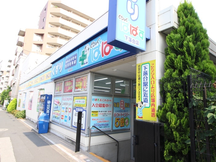 どらっぐぱぱす