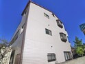 ファーストマッシブ