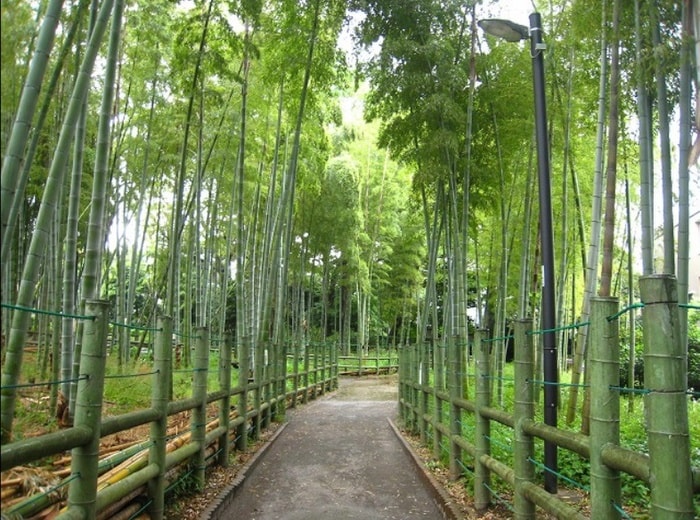 すずめのお宿緑地公園