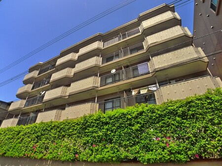 ﾁｻﾝﾏﾝｼｮﾝ新検見川(501)外観写真