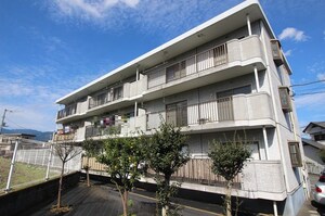 コンチェルト外観写真
