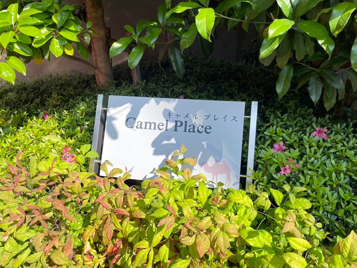 物件外観写真6　(その他)