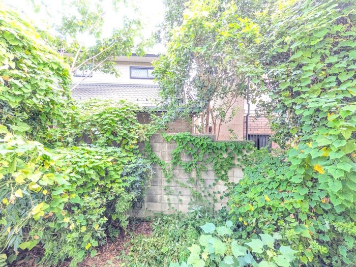 物件内観写真15　(室内からの展望)