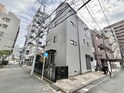 ドミ－ルクスノキ