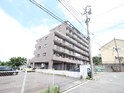 グリーンハイツニシダ
