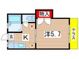 メゾン大塚の間取図