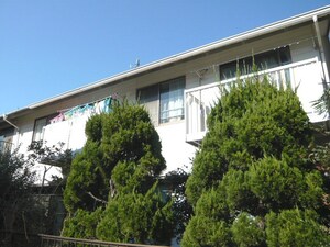 モアヌアオキ外観写真