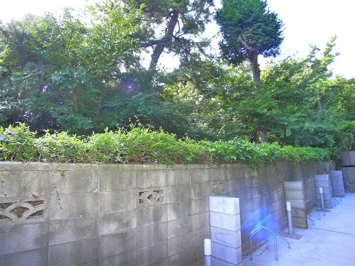 物件内観写真22　(室内からの展望)