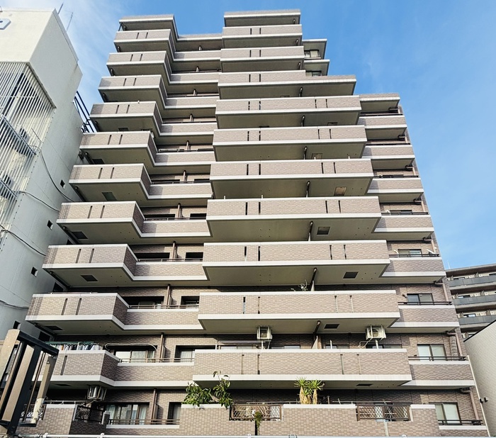 ﾅｲｽｱｰﾊﾞﾝ新大橋隅田川ｽﾃｰｼﾞ(602)