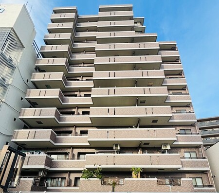 ﾅｲｽｱｰﾊﾞﾝ新大橋隅田川ｽﾃｰｼﾞ(602)外観写真