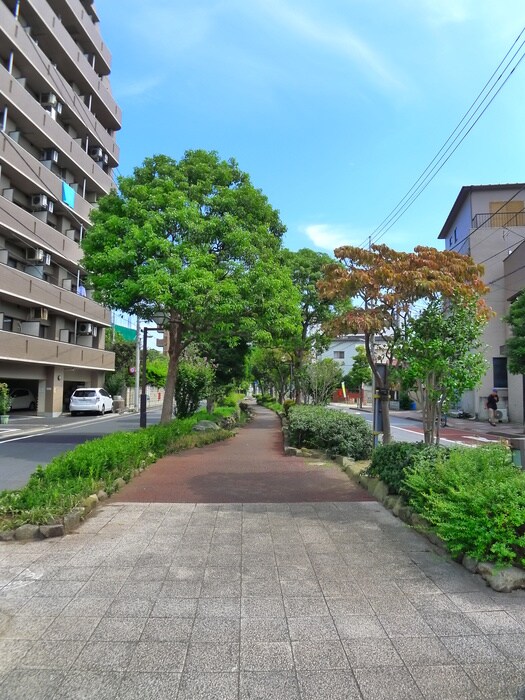 物件外観写真3　(周辺環境)