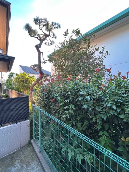 物件内観写真16　(室内からの展望)