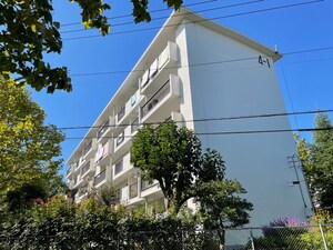 たまﾌﾟﾗｰｻﾞ団地4街区1号棟(203)外観写真