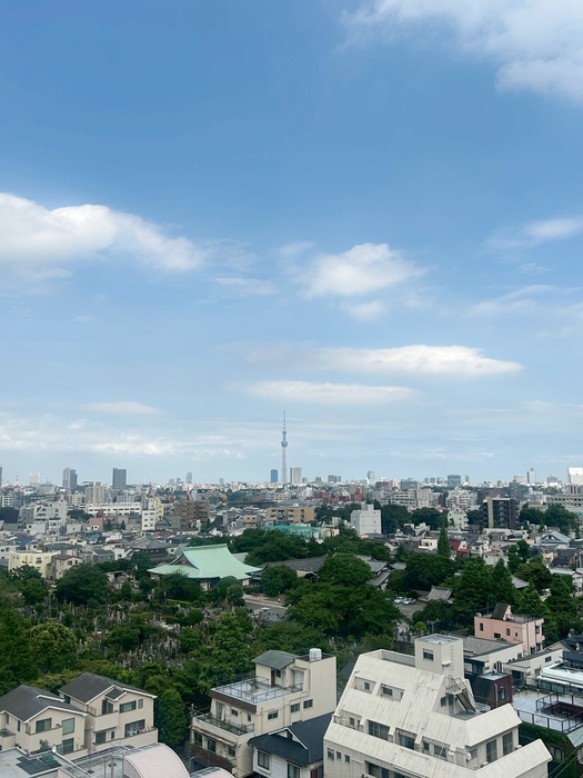 内観写真