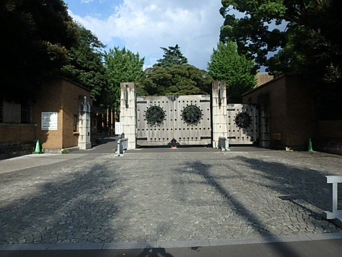 東京大学