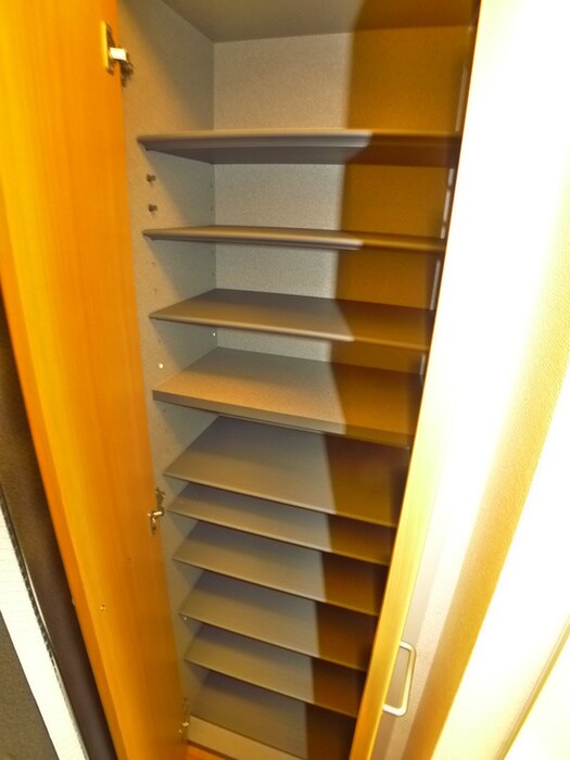 物件内観写真10　(靴箱)