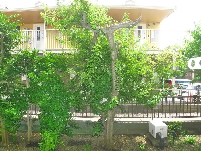 物件内観写真21　(室内からの展望)