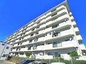 小根本コンド（207）