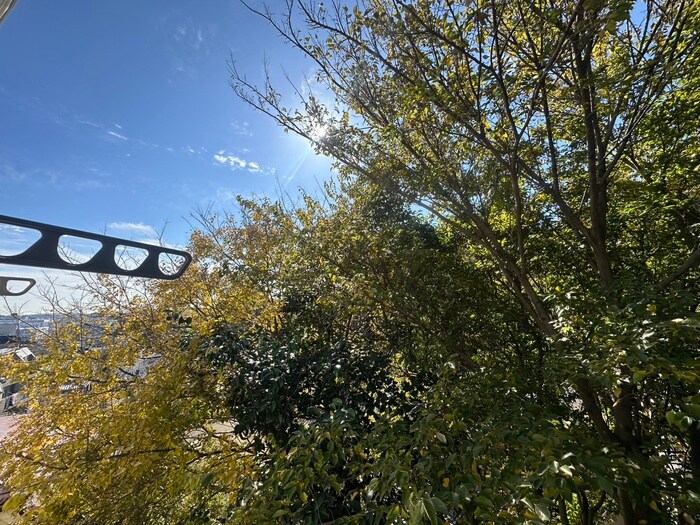 物件内観写真15　(室内からの展望)