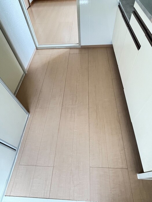 物件内観写真18　(廊下)