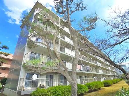 高洲三丁目住宅14号棟（204）外観写真