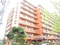 ﾗｲｵﾝｽﾞﾏﾝｼｮﾝ平沼第3（211）
