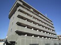 グラティア白楽