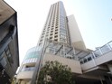 THE　HASHIMOTO　TOWER(910)