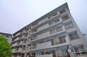 小金原団地(503)
