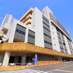 メゾンサンシャイン(908)外観写真