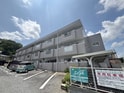 センチュリージャミーラ