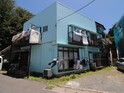 ｺｰﾎﾟかねこ
