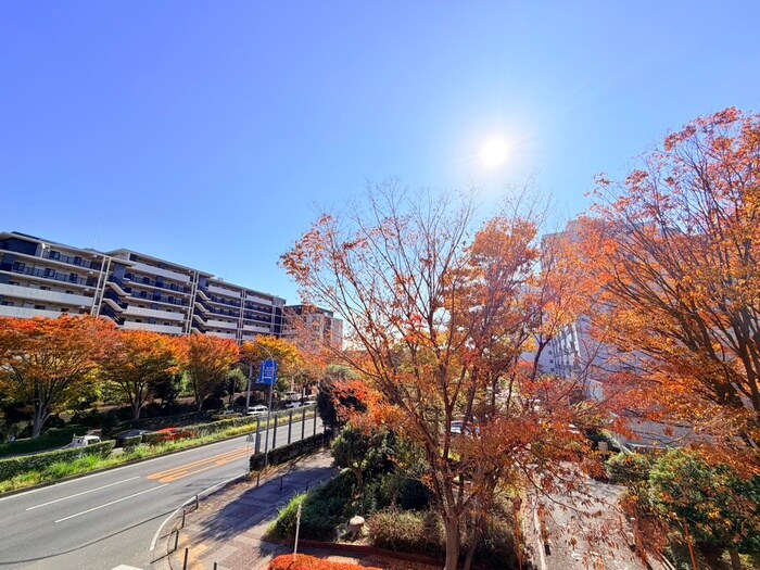 物件内観写真10　(室内からの展望)