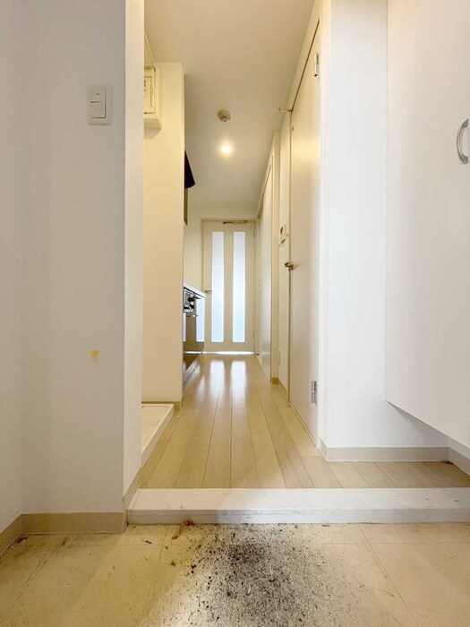 物件内観写真7　(玄関)