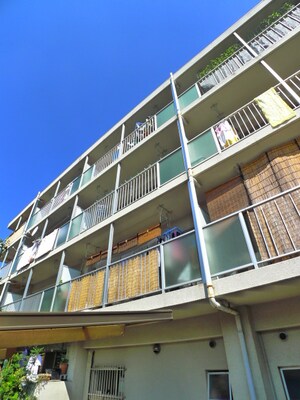 マンションセルシオ外観写真
