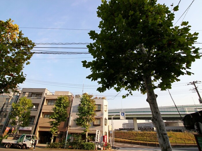 物件内観写真20　(室内からの展望)