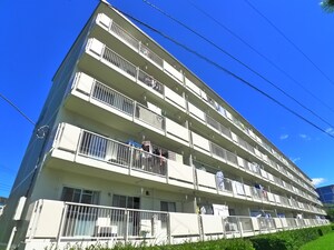 高洲第二団地(408)外観写真
