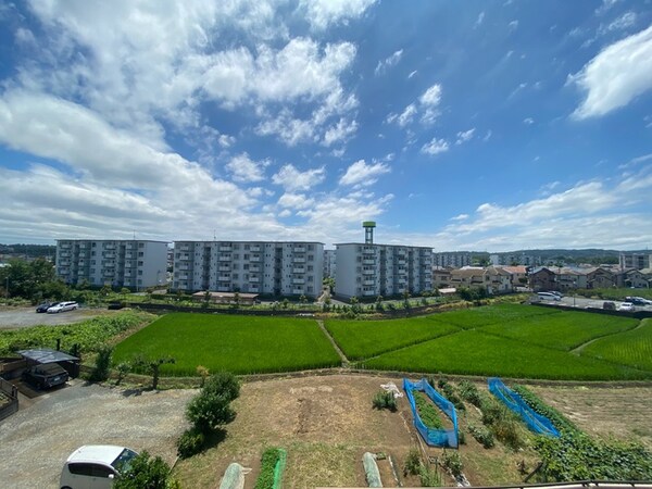 室内からの展望