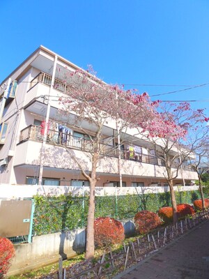 グレ－スコ－ト寿能外観写真