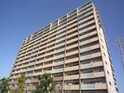 ﾌﾟﾗｳﾄﾞｼﾃｨ金町ｱﾍﾞﾆｭｰ（610）