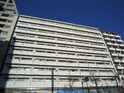 長者町ビジネスマンション(1010)