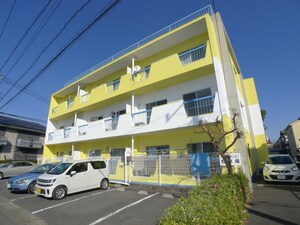 PALM TREE RESIDENCE外観写真
