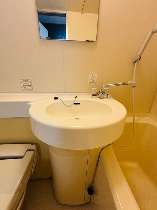 花ハウスの洗面