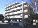 ヒルティ７８