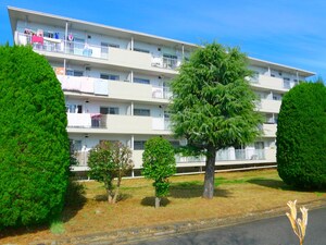 根貝戸団地9号棟（401）外観写真