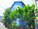 ｍａｐｌｅ　ｃｏｕｒｔ